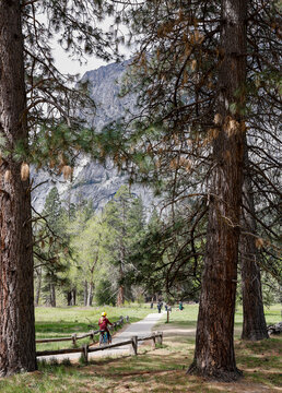 Young person riding a bike in Yosemite Valley