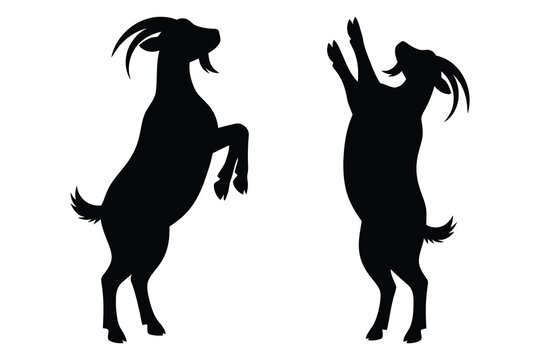 Two silhouette goats reaching upward a dynamic black and white illustration
