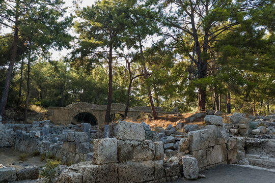 Ancient Roman ruins and stone aqueduct in Phaselis antique city, historical archaeological site remains with pine forest landscape and sunlight in Antalya, Turkey for travel and history concept