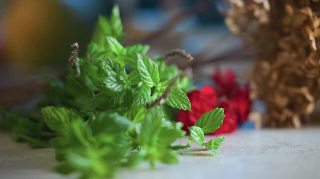 Fresh mint and raspberries on counter, home cook prepping garnish with sprigs and stems, soft natural light, shallow depth of field, vibrant green and red contrast, rustic cozy atmosphere