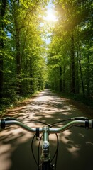 Naklejka premium A direct perspective view from a bicycle handlebar, looking down a paved sunlit path winding through a lush green forest at daytime, forest, pov, active