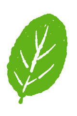 Detailed Single Mint Leaf with Veins Vector © JunKikuchi