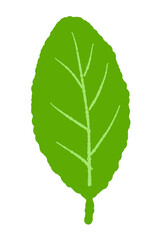 Vertical Single Mint Leaf Vector © JunKikuchi