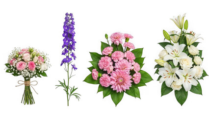 Obraz premium Collection of beautiful flower bouquets isolated on transparent background