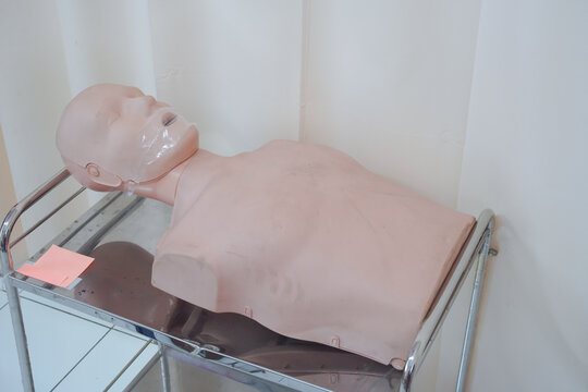 CPR Manikin for Medical Training and First Aid Practice