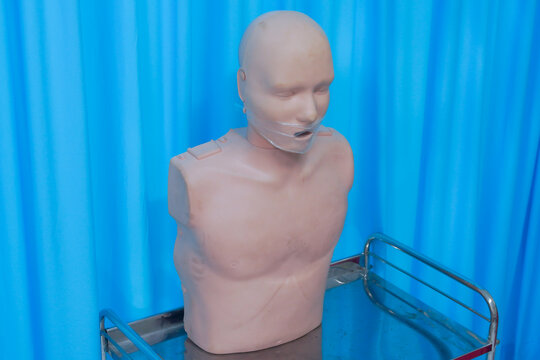 CPR Manikin for Medical Training and First Aid Practice