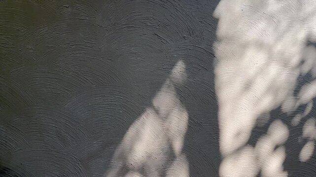 Light and shadow of leaf on concrete wall texture