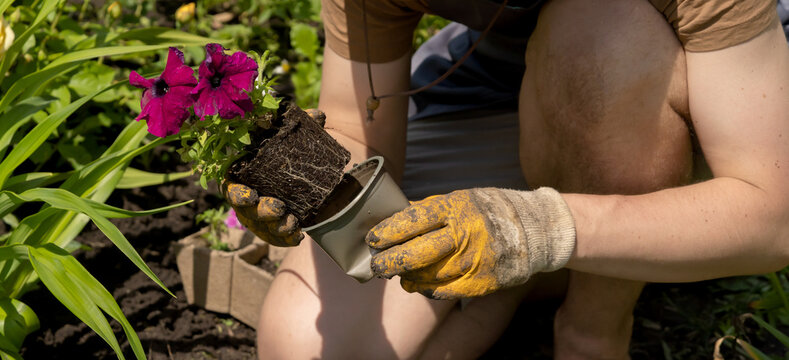 A closeup of hands of a young farmer with a seedling in a peat pot