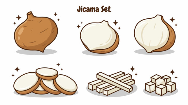 Jicama root vegetable vector cartoon set with whole tuber, peeled halves, slices and cubes