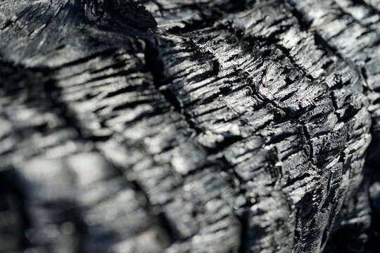 Texture de bois carbonis&eacute;