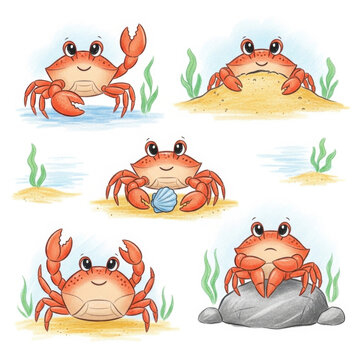 Cartoon crabs in various beach scenes with seaweed