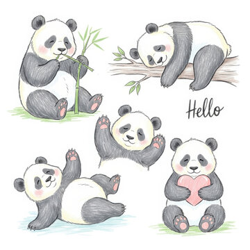 Adorable Panda Bears in Various Playful Poses and Actions
