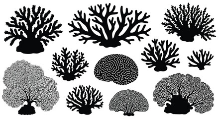 A collection of various coral reef silhouettes © NurJahan