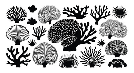 A collection of various coral reef silhouettes © NurJahan