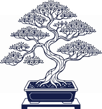 Bonsai Tree in Pot.