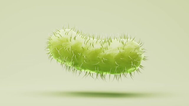 Dynamic close-up footage of a microscopic bacterium moving in a liquid environment, highlighting its cellular structure and vibrant green hue.