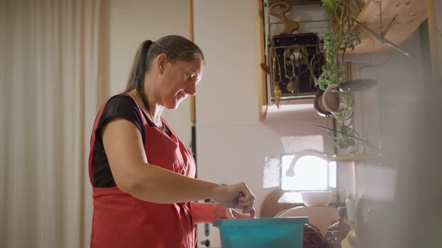 Home kitchen baker mixing batter in bright morning sun, red apron, blue mixing bowl, potted plants on shelf, joyful hands stirring, measuring cup and whisk, tactile textures and cheerful home baking