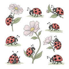 Fototapeta premium Ladybugs and flowers illustration in a garden setting with nature