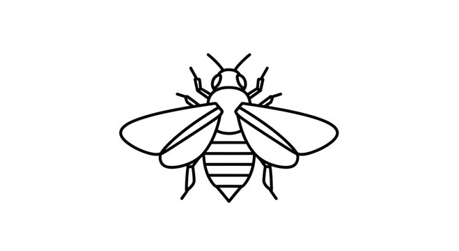 Detailed illustration of a honey bee.