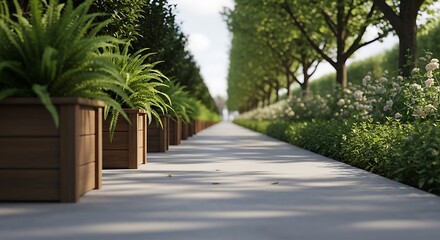 Fototapeta premium Concrete pathway bordered by wooden planters with lush greenery and rows of trees in background