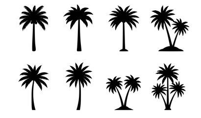 Tropical palm tree icons silhouette black white vector collection © Mdsahag