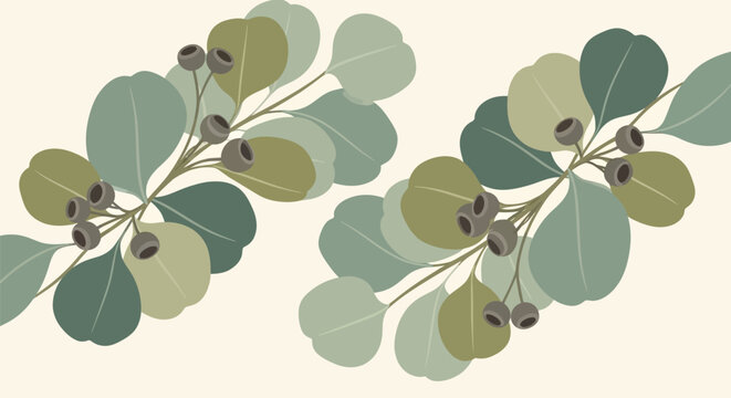 Eucalyptus branches with leaves and gumnuts in a minimalist style.