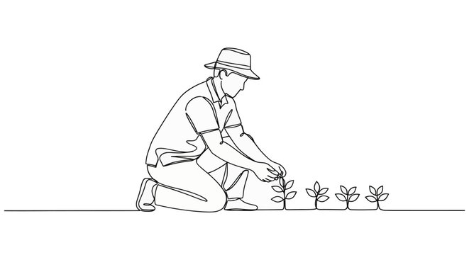 Man kneeling and planting a small tree or sapling in the ground with several plants nearby in a line