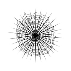 Obraz premium Intricate Spider Web Design, Radial Pattern, Black and White, Macro Detail