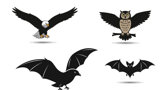 Flying nocturnal animals in flight.