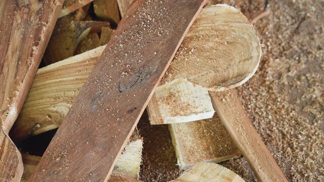 Detailed wood fragments. Comprehensive depiction of wood shavings and debris textures clearly shown. An indepth perspective highlighting intricate textures of wood waste and tiny fragments