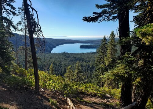 Stunning Overview of Odell Lake Framed by the Lush Evergreen Canopy of the Oregon Cascades