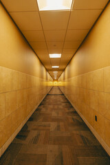 Backrooms A long, empty hallway liminal spaces abstract hall corridors yellow walls light ceiling floor horror creepy atmosphere back rooms © mattfilmsz
