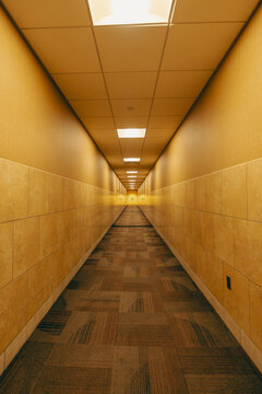 Backrooms A long, empty hallway liminal spaces abstract hall corridors yellow walls light ceiling floor horror creepy atmosphere back rooms