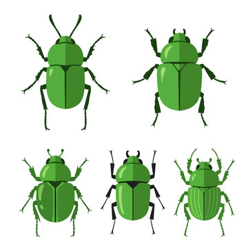 Set of green beetles, scarab beetles, and insects, flat design, isolated on white background