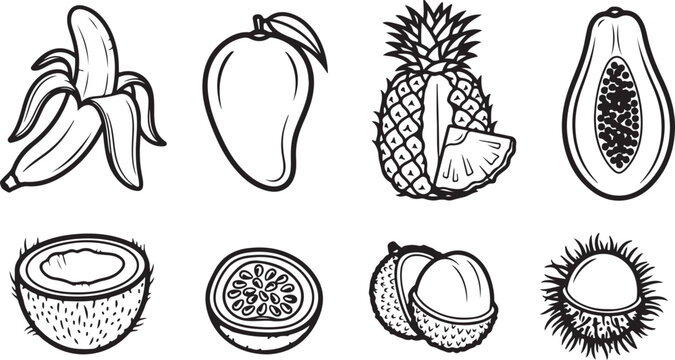 Collection of hand-drawn floral and botanical illustration elements Vector