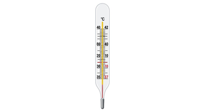 Thermometer with colored liquid inside.