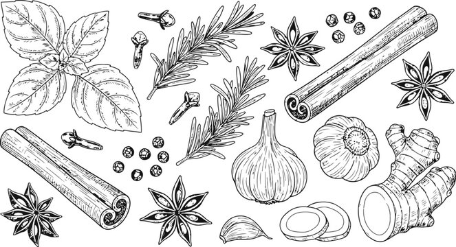 Assortment of aromatic herbs and spices arranged for culinary inspiration