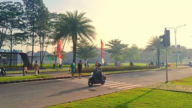 people are walking on zebra cross at the park