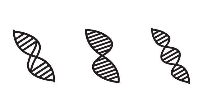 DNA double helix molecular structure icons  genetic code symbols  biology and science illustrations  helix models