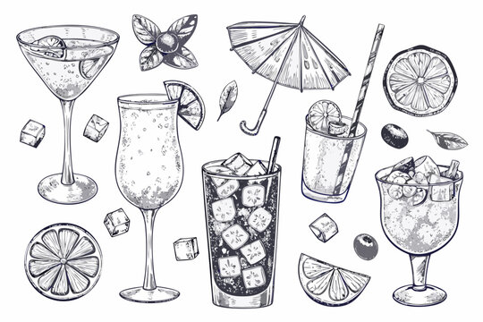 A collection of hand drawn cocktail glasses citrus and beverage elements