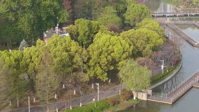 Spring Scenery of Yuehu Park and Guqin Terrace Scenic Area in Wuhan, Hubei, China