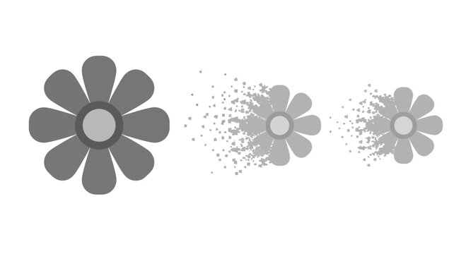 Flower Dissolving into Particles, Abstract Floral Transformation, Digital Art