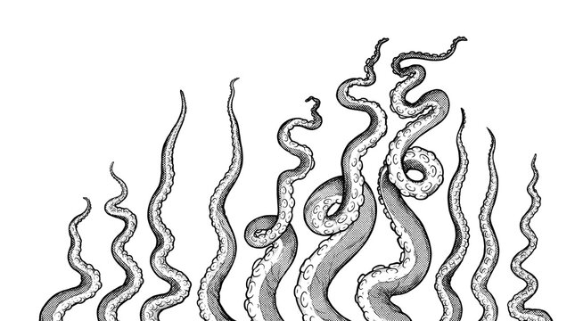 Tentacles of octopus and squid, hand drawn collection of illustrations. Black and white engraving style drawings. Tentacle straight and with rings in different angles.