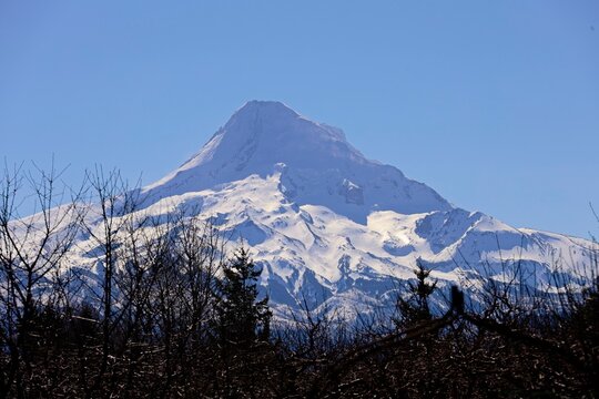Snow-topped Mount Hood rises above Oregon