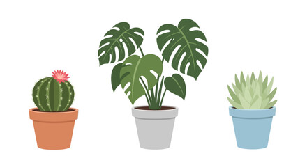 Obraz premium Three Potted Houseplants: Monstera, Cactus, and Succulent on White Background