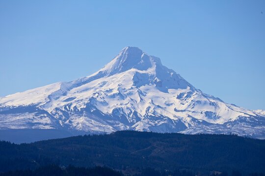 Snow-topped Mount Hood rises above vineyards in Oregon