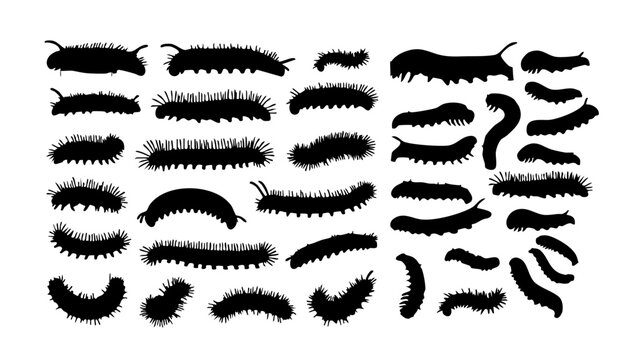 A collection of various caterpillar silhouettes on a white background