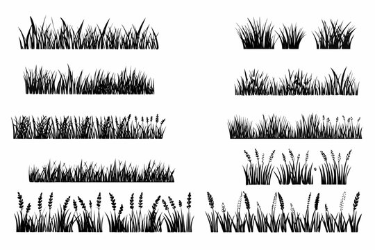 Collection of various black and white grass and wildflower illustrations