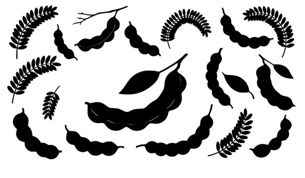 Minimal tamarind silhouette icon set tropical fruit vector isolated on white background