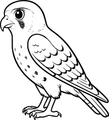 Fototapeta premium vector illustration of a kestrel